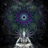 Shiva1488