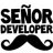 Developer